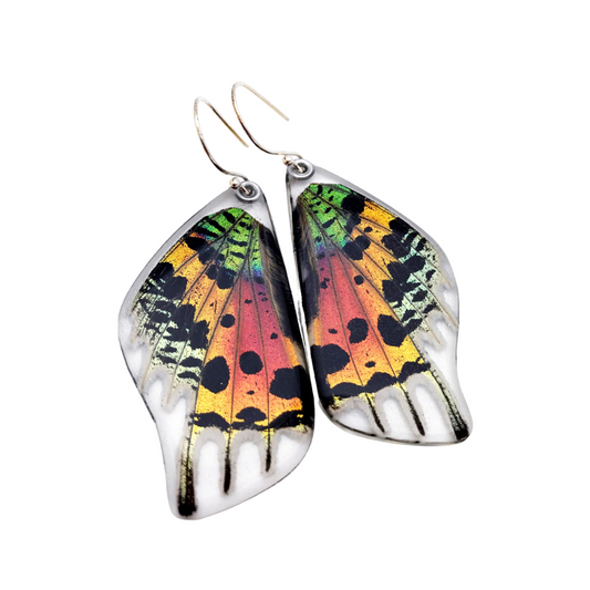 Sunset Moth Bottom Wing Earrings