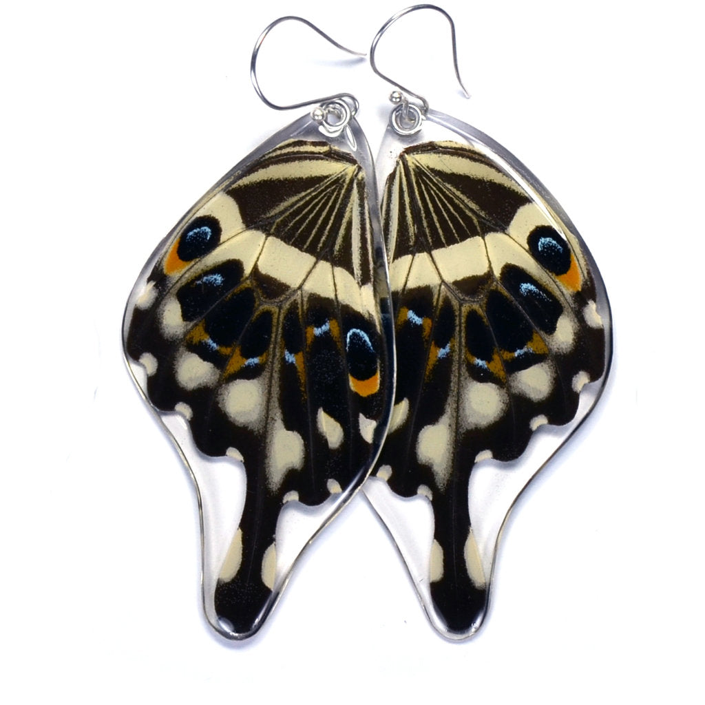 Central Emperor Swallowtail Bottom Wing Earrings